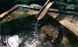 Portrait d’entrepreneurs MonPuits