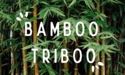 Portrait d’entrepreneures Bamboo Triboo