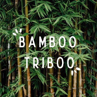 Portrait d’entrepreneures Bamboo Triboo