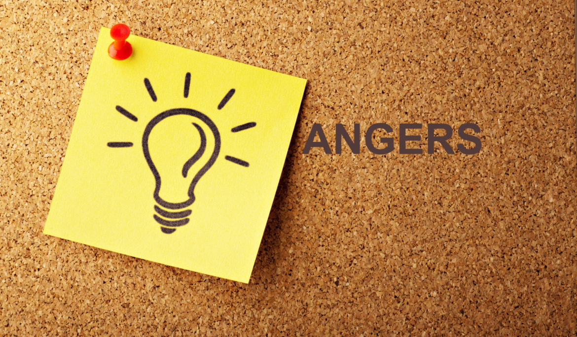 Visioconférence – Présentation de l’offre d’accompagnement BGE. Création, reprise d’entreprise Angers et ses environs